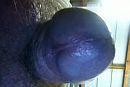 eikel, foto 480x324, 2 reacties, 4 stemmen