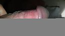 eikel, foto 3264x1836, 0 reacties, 2 stemmen