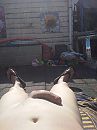 even in de zon, foto 1920x2560, 2 reacties, 8 stemmen
