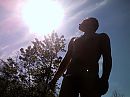 even snel in het bos, foto 2048x1536, 0 reacties, 3 stemmen