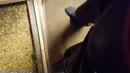 ff pissen, film 00:00:28, 2 reacties, 4 stemmen