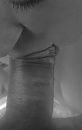 fotobewerking, foto 1077x1683, 8 reacties, 49 stemmen