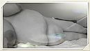 full body, foto 1779x1000, 13 reacties, 36 stemmen