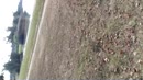 galderse meren 2, film 00:00:27, 14 reacties, 55 stemmen