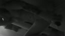 geil?, film 00:00:27, 10 reacties, 120 stemmen
