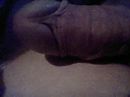 geil man, foto 640x480, 0 reacties, 0 stemmen