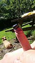 geil, foto 900x1600, 4 reacties, 13 stemmen