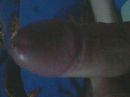 gekbeffertje, foto 320x240, 0 reacties, 1 stemmen