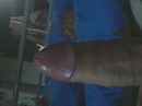 gekbeffertje, foto 320x240, 2 reacties, 4 stemmen