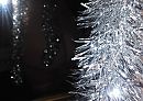 genietze, foto 2567x1836, 0 reacties, 6 stemmen