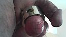 gewichtig, foto 640x360, 1 reacties, 9 stemmen