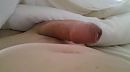 goedemorgen, foto 2592x1456, 1 reacties, 2 stemmen
