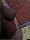 goeie avond, foto 1200x1600, 0 reacties, 6 stemmen