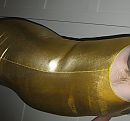 gold2, foto 2223x2076, 0 reacties, 0 stemmen