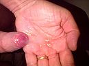 handje vol, foto 2048x1536, 6 reacties, 19 stemmen