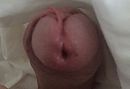harde eikel, foto 480x332, 1 reacties, 2 stemmen
