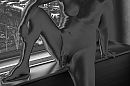 he, foto 2625x1750, 4 reacties, 18 stemmen