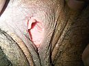 hoe graag willen jullie erin, foto 2048x1536, 4 reacties, 27 stemmen