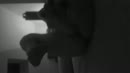 hoor eens, film 00:00:29, 8 reacties, 119 stemmen