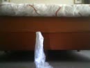 horny, film 00:00:00, 2 reacties, 9 stemmen