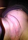 ikke, foto 1620x2268, 1 reacties, 3 stemmen
