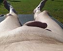 in slaapstand, foto 1179x957, 15 reacties, 36 stemmen