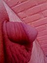 in 't ochtendgloren, foto 1200x1600, 2 reacties, 3 stemmen
