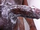 in zeepte, foto 640x480, 8 reacties, 44 stemmen