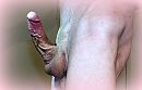 in, foto 3105x1999, 4 reacties, 11 stemmen