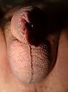 kaal maken, foto 3000x4000, 0 reacties, 6 stemmen