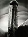 keihard, foto 768x1024, 1 reacties, 6 stemmen