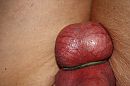 kleine strakke ballen, foto 4000x2666, 1 reacties, 2 stemmen