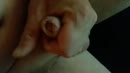 kreeg een hele natte eikel van, film 00:00:00, 3 reacties, 7 stemmen