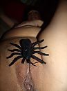 kut spin2, foto 3000x4000, 1 reacties, 13 stemmen