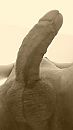 lekker hard, foto 1080x1920, 0 reacties, 1 stemmen