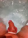 lekker nat, foto 2448x3264, 4 reacties, 6 stemmen