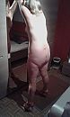 lekker, foto 1536x2560, 8 reacties, 99 stemmen