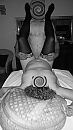 massage met gerard en panoka, foto 2250x4000, 3 reacties, 73 stemmen