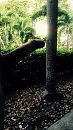 meer openbaar.., foto 750x1334, 0 reacties, 0 stemmen