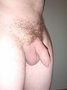 meid gezocht voor date/sex, foto 3000x4000, 0 reacties, 1 stemmen