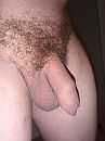 meid gezocht voor date/sex, foto 3000x4000, 0 reacties, 1 stemmen