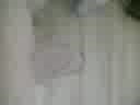 mijn  pik, film 00:00:00, 0 reacties, 1 stemmen