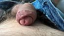 mijn eikel, foto 3264x1840, 2 reacties, 5 stemmen