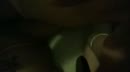 mm smaakt naar meer veel meer, film 00:00:00, 2 reacties, 19 stemmen