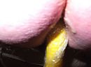 moest wat voelen, foto 2304x1728, 1 reacties, 2 stemmen