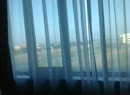 morning glory!, film 00:00:20, 2 reacties, 11 stemmen