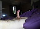 morning belgium!, foto 4000x3000, 3 reacties, 8 stemmen