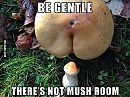 mush room, foto 700x525, 0 reacties, 4 stemmen