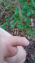 nature fun, foto 2250x4000, 1 reacties, 7 stemmen