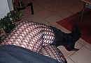netjes, foto 1538x1084, 9 reacties, 54 stemmen